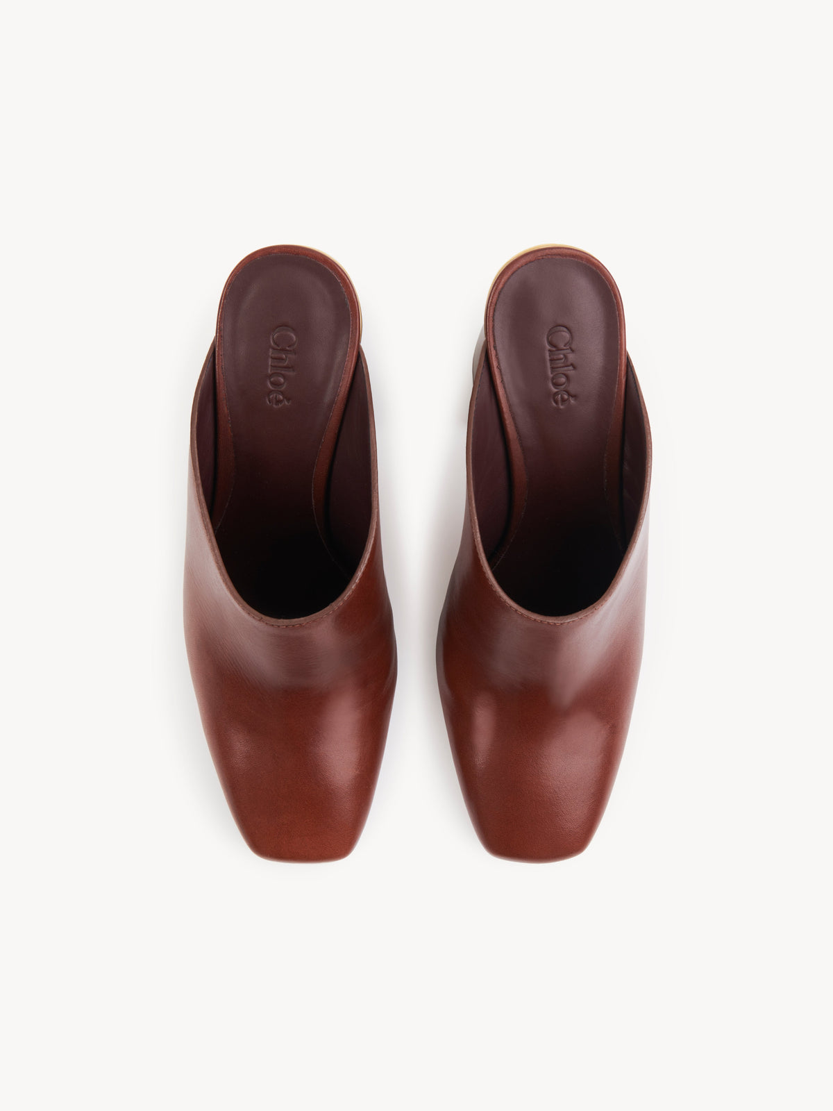 BASEPLUS_Cognac Brown MULES - Cognac Brown