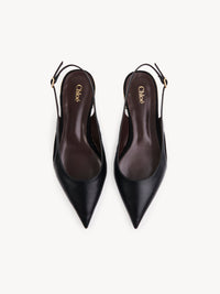 Black BALLERINAS - Black