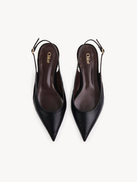 BASEPLUS_Black BALLERINAS - Black