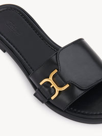 Black SLIDES - Black