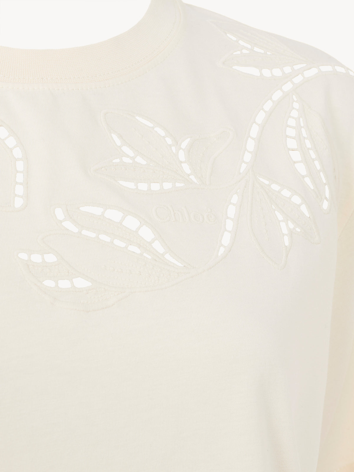 Coconut Milk TOP - Coconut Milk