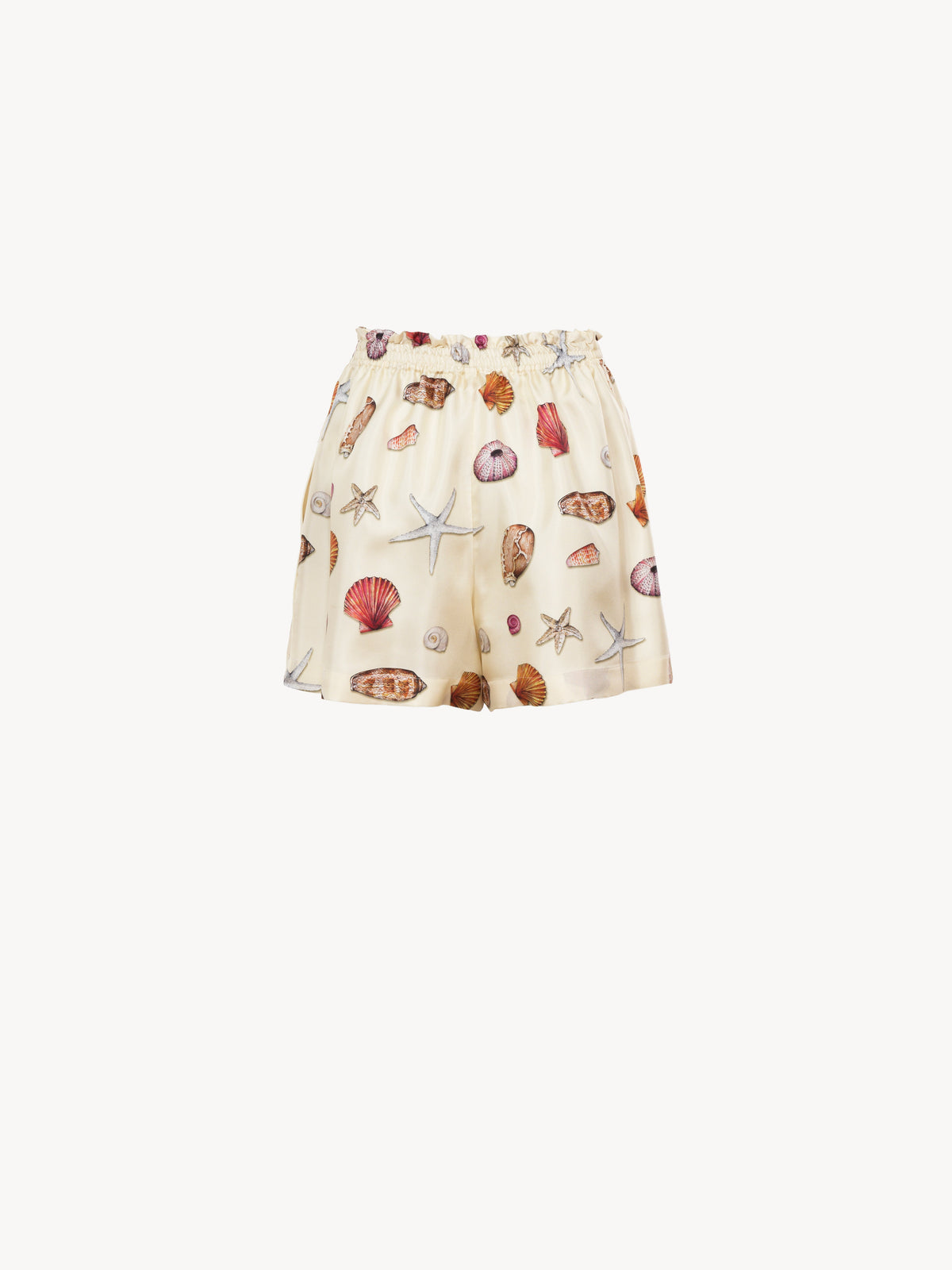 Multicolor SHORT - Multicolor