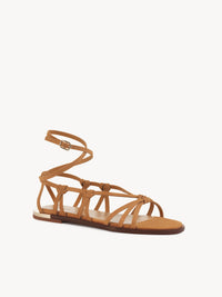 BASEPLUS_Brick Brown FLAT SANDALS - Brick Brown