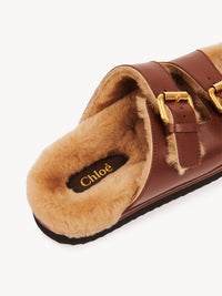BASEPLUS_Sooty Brown SLIDES - Sooty Brown