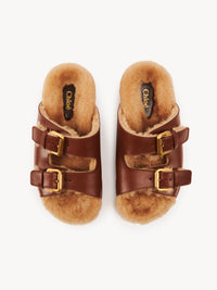 BASEPLUS_Sooty Brown SLIDES - Sooty Brown