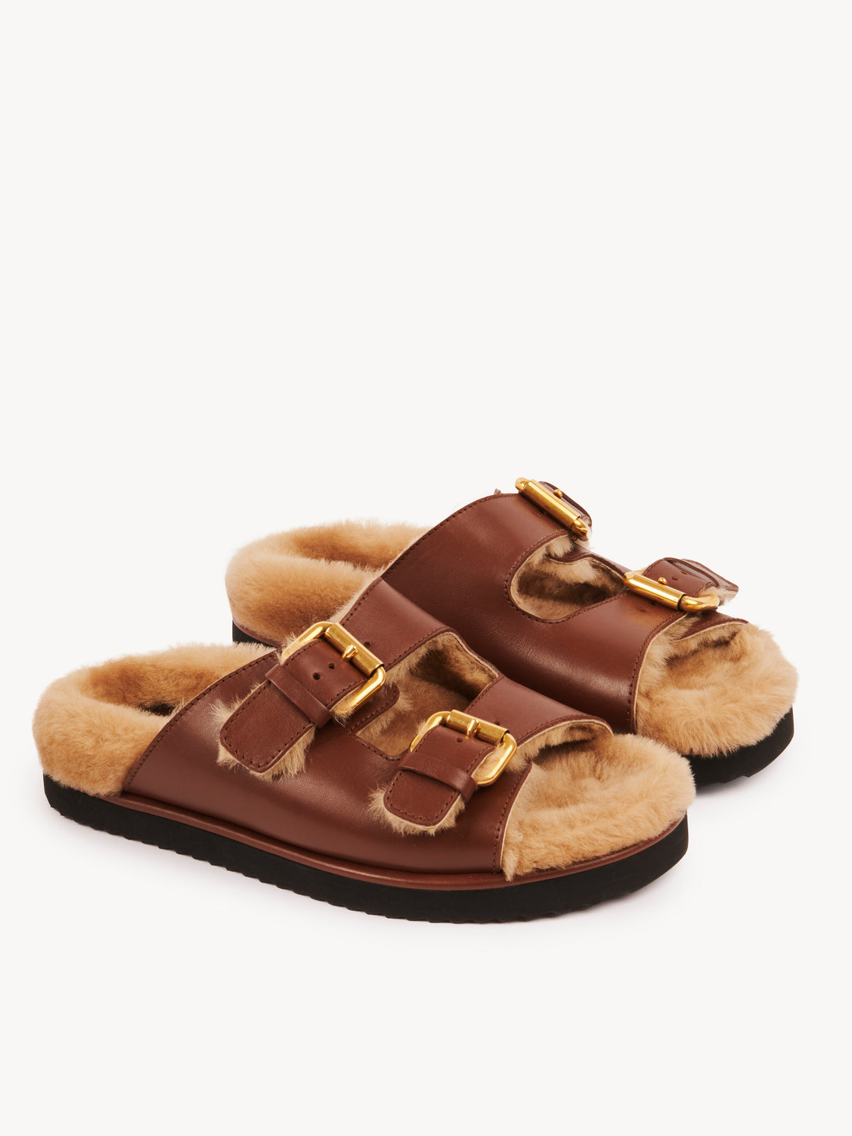 BASEPLUS_Sooty Brown SLIDES - Sooty Brown