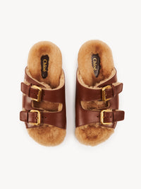BASEPLUS_Sooty Brown SLIDES - Sooty Brown
