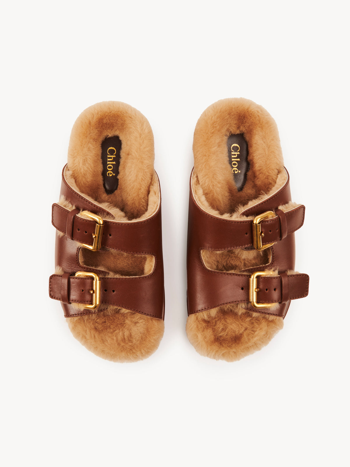 BASEPLUS_Sooty Brown SLIDES - Sooty Brown