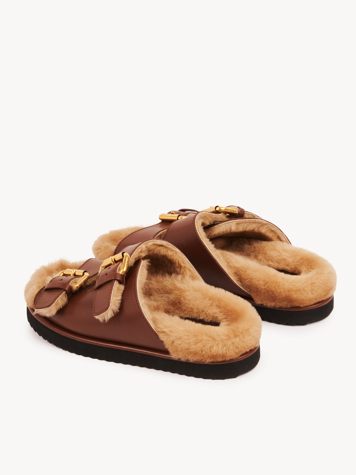 BASEPLUS_Sooty Brown SLIDES - Sooty Brown