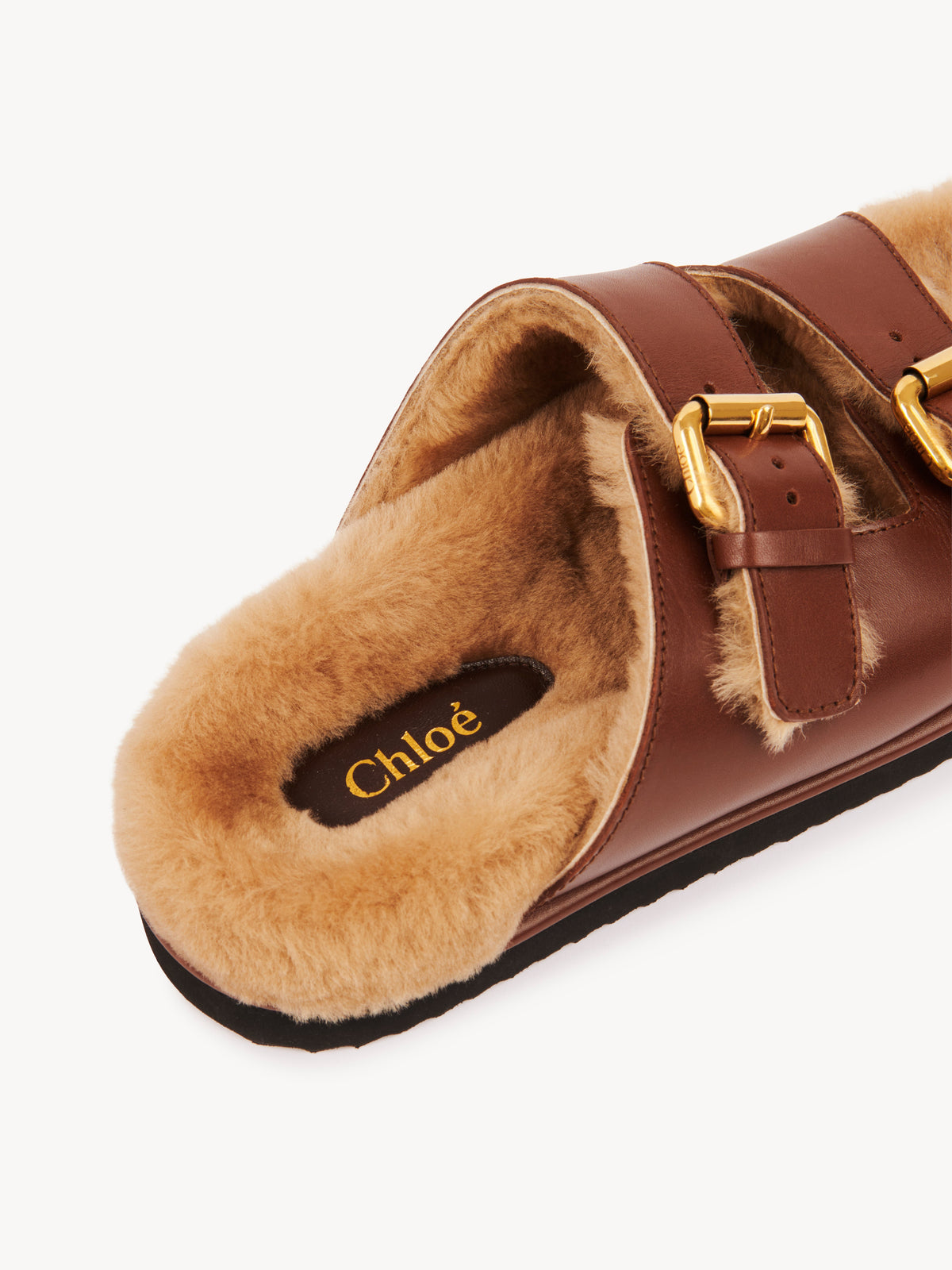 BASEPLUS_Sooty Brown SLIDES - Sooty Brown