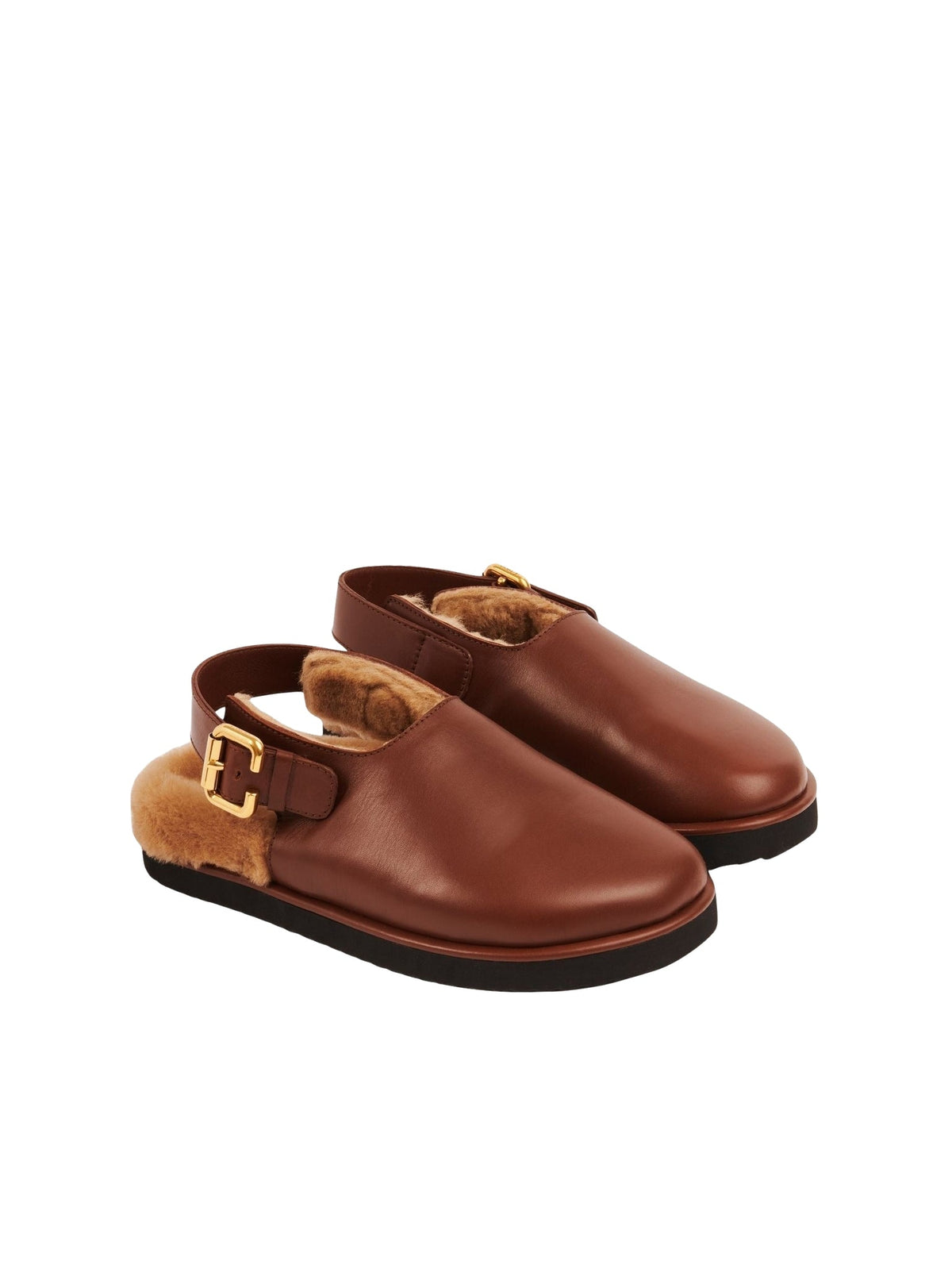 Sooty Brown MULES - Sooty Brown