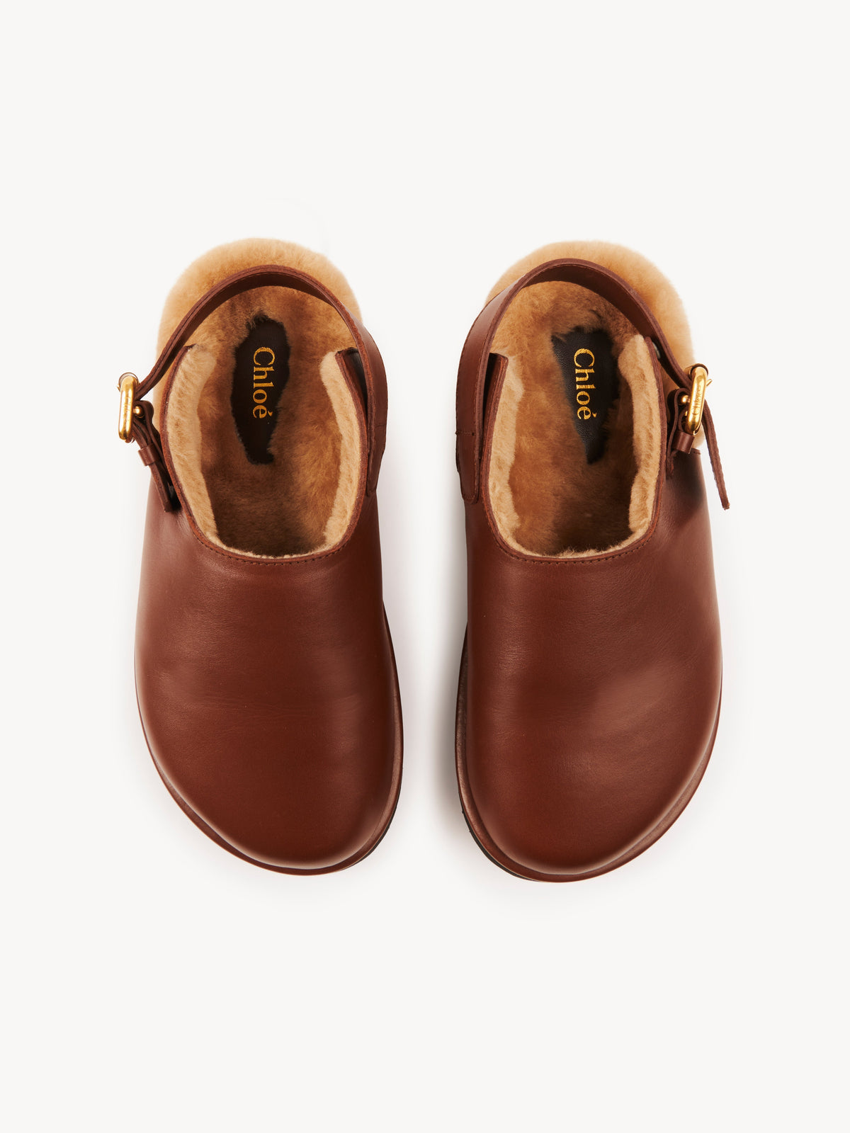Sooty Brown MULES - Sooty Brown
