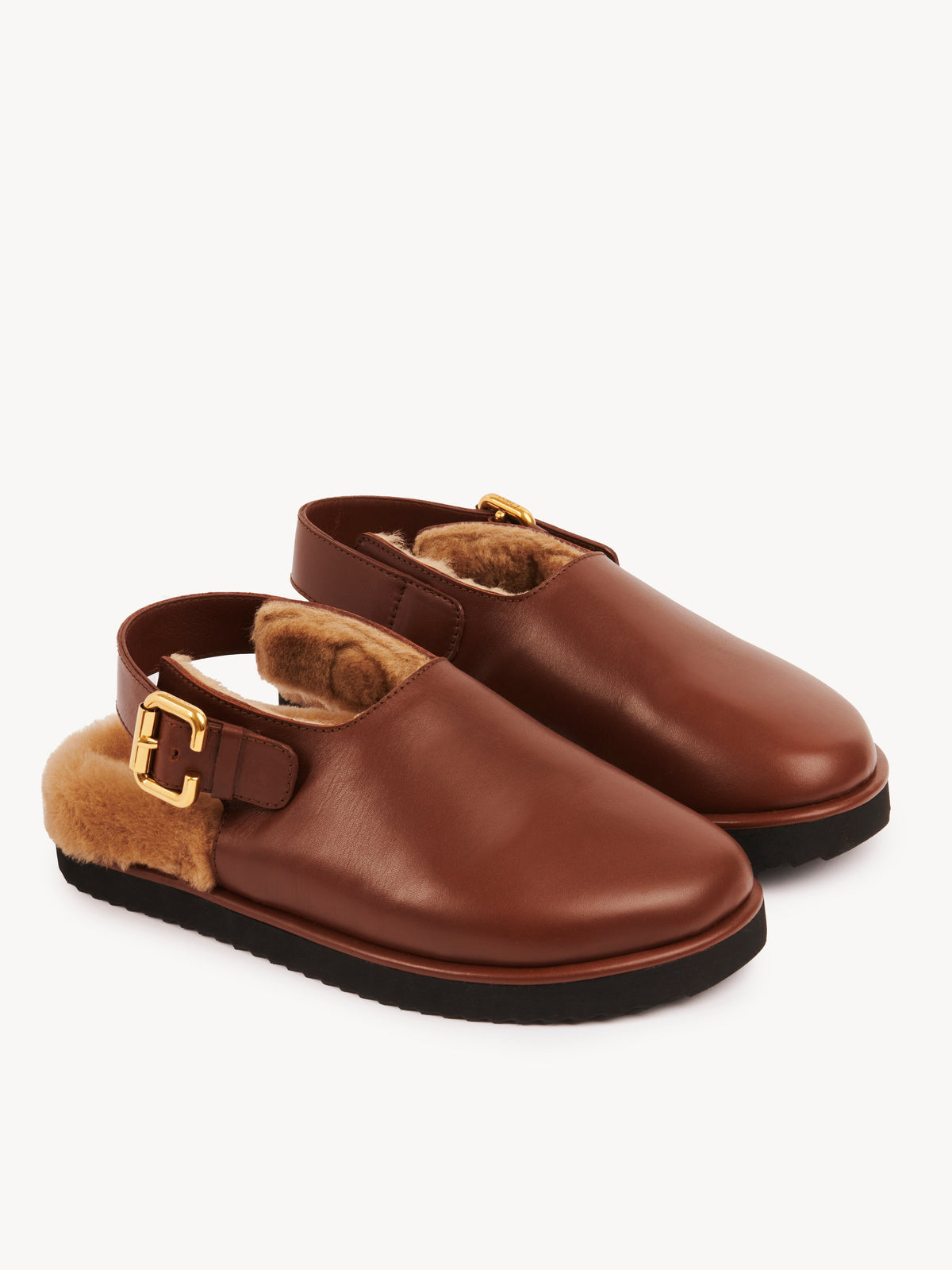 BASEPLUS_Sooty Brown MULES - Sooty Brown