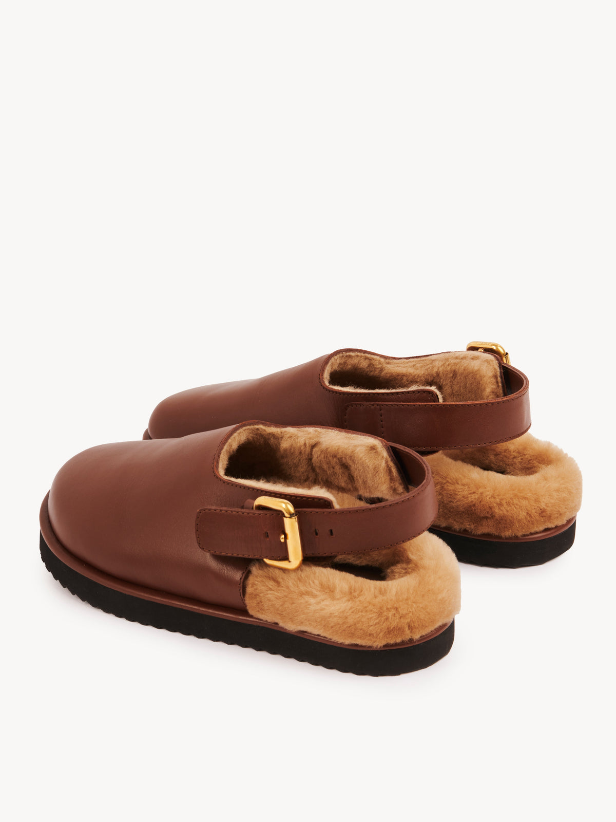 BASEPLUS_Sooty Brown MULES - Sooty Brown