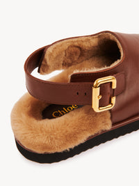BASEPLUS_Sooty Brown MULES - Sooty Brown