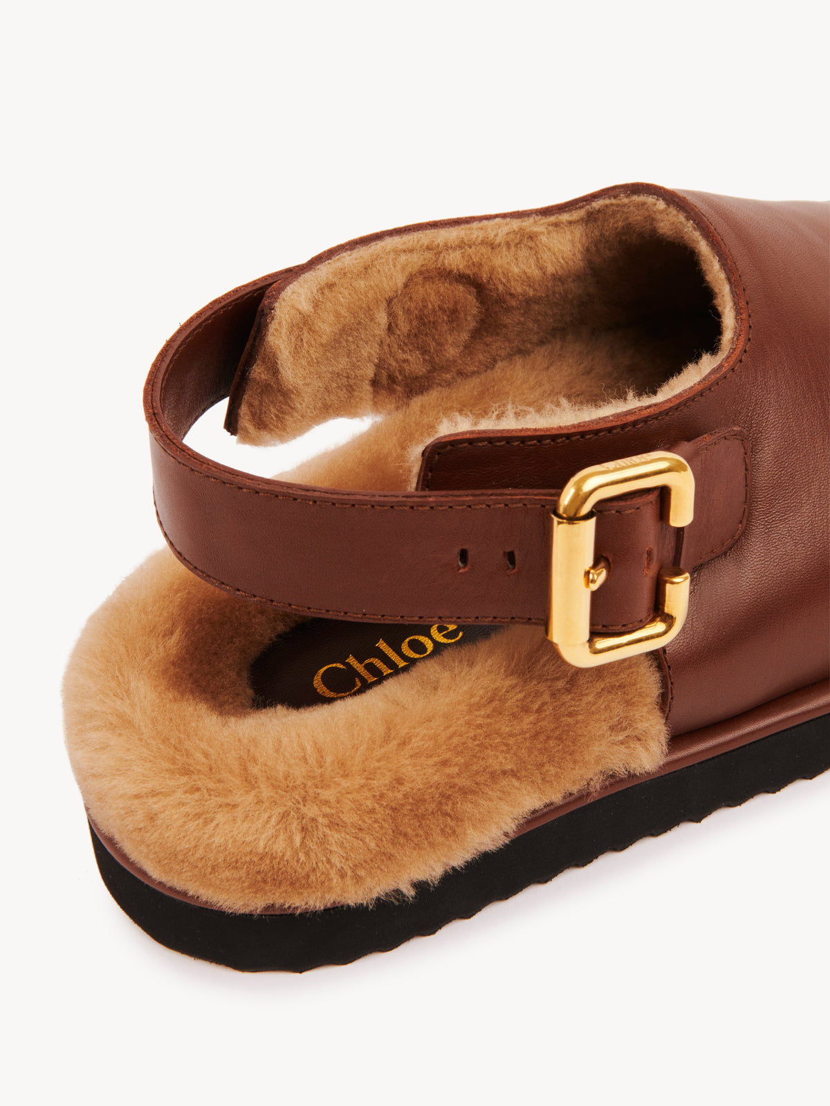 BASEPLUS_Sooty Brown MULES - Sooty Brown