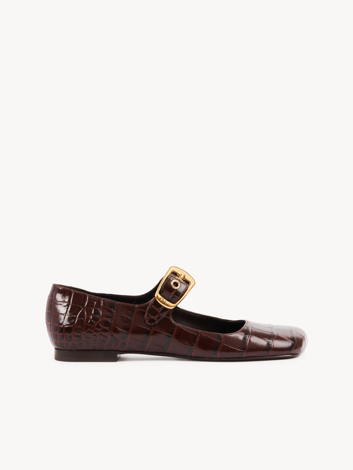 BASEPLUS_Sharp Brown FLATS - Sharp Brown
