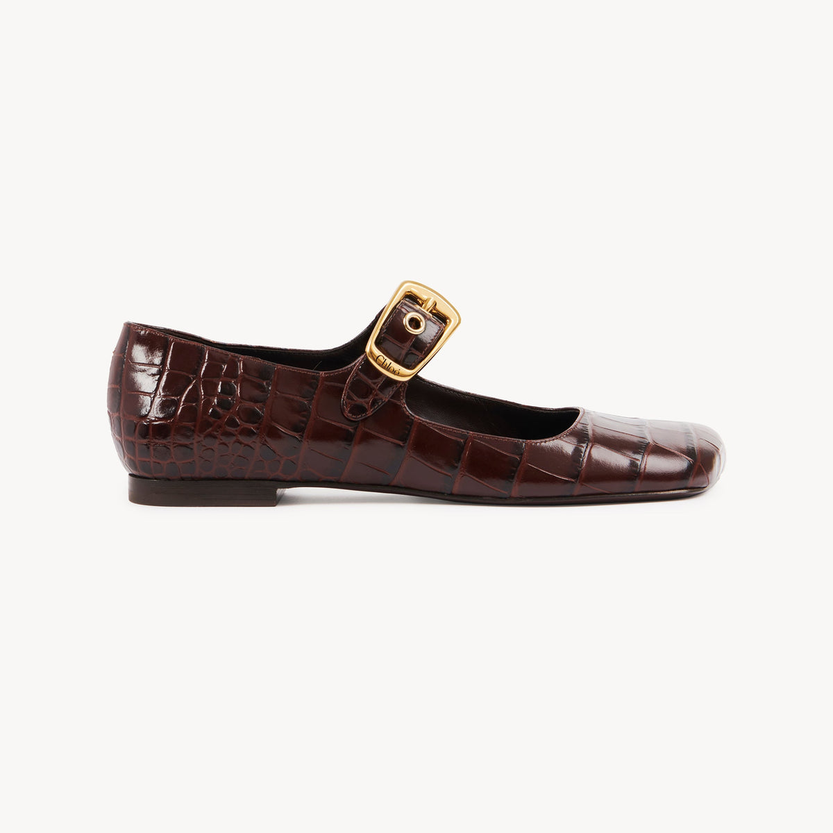 BASEPLUS_Sharp Brown FLATS - Sharp Brown