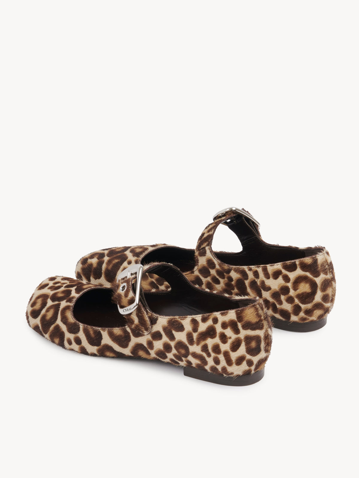 Jungle Brown FLATS - Jungle Brown
