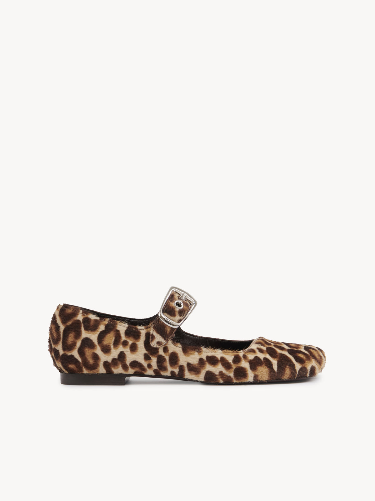 BASEPLUS_Jungle Brown FLATS - Jungle Brown