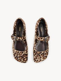 BASEPLUS_Jungle Brown FLATS - Jungle Brown