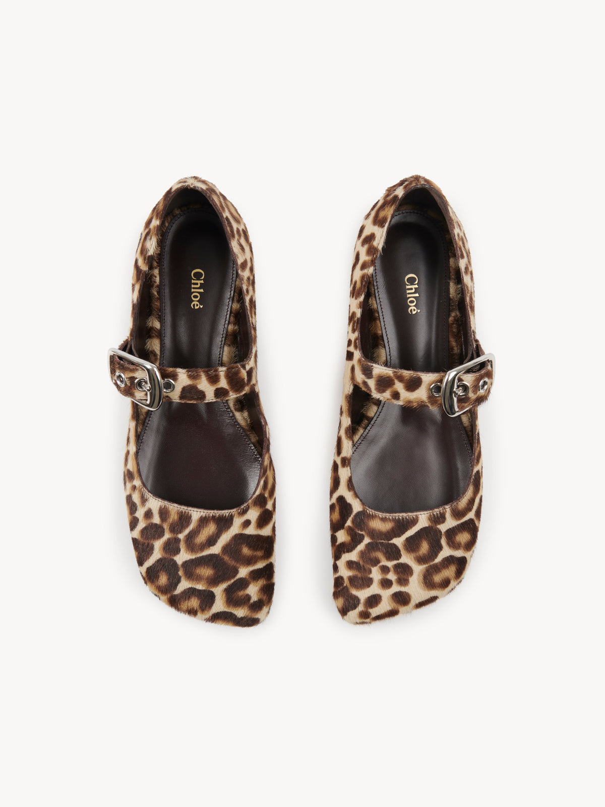 BASEPLUS_Jungle Brown FLATS - Jungle Brown