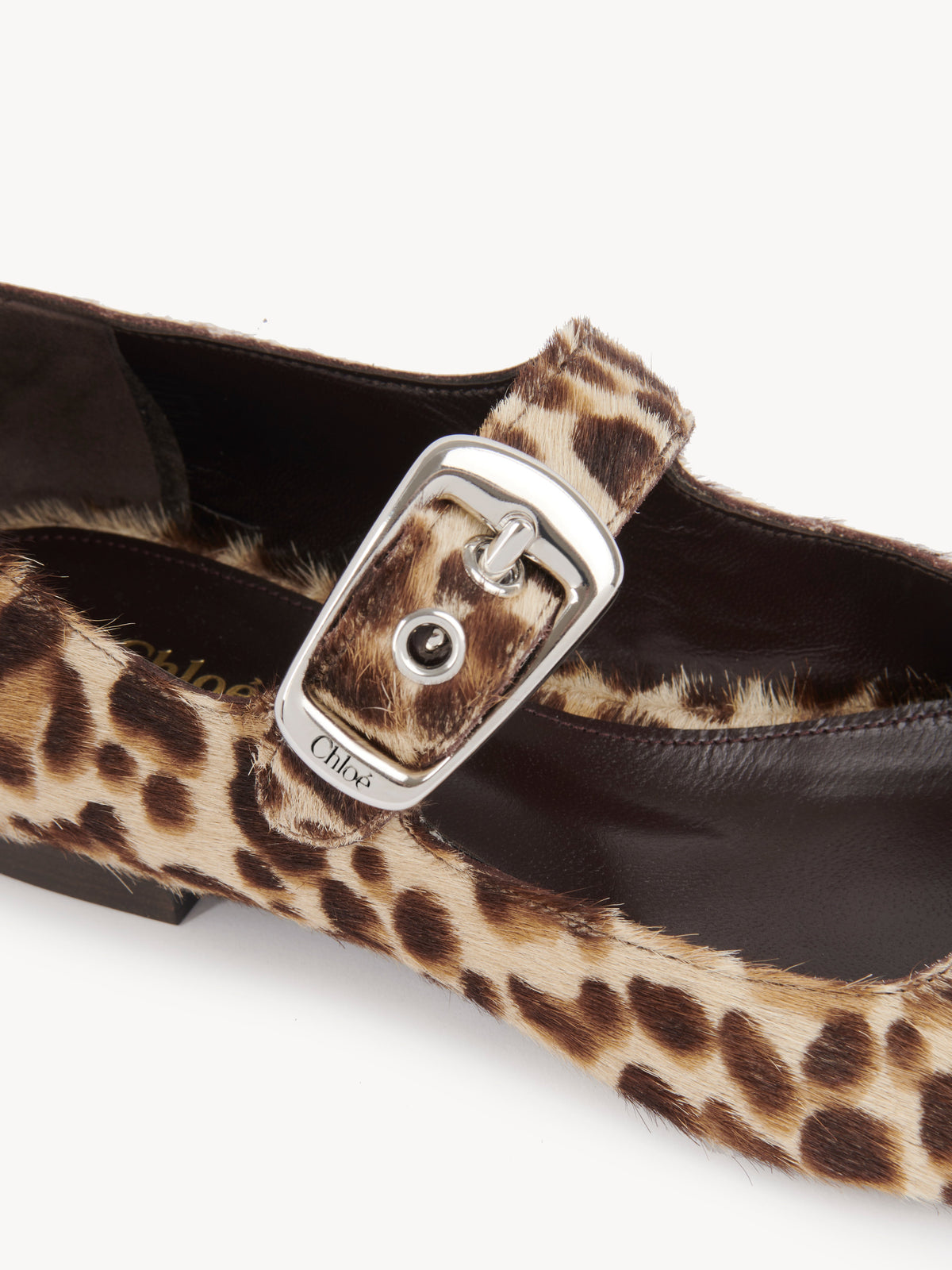 BASEPLUS_Jungle Brown FLATS - Jungle Brown