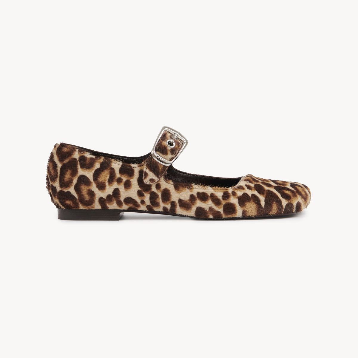 BASEPLUS_Jungle Brown FLATS - Jungle Brown