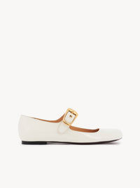 BASEPLUS_Eggshell FLATS - Eggshell