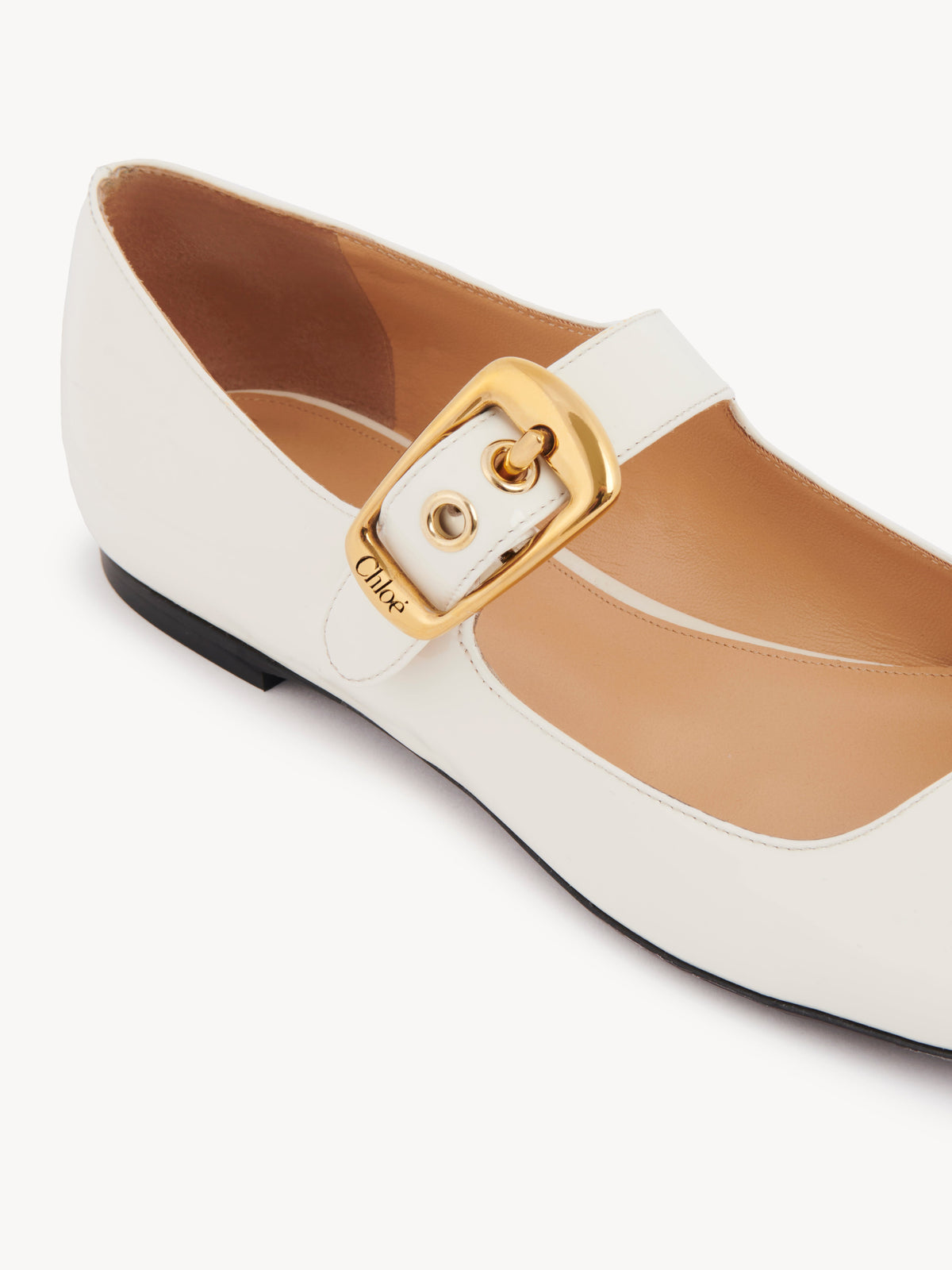 BASEPLUS_Eggshell FLATS - Eggshell