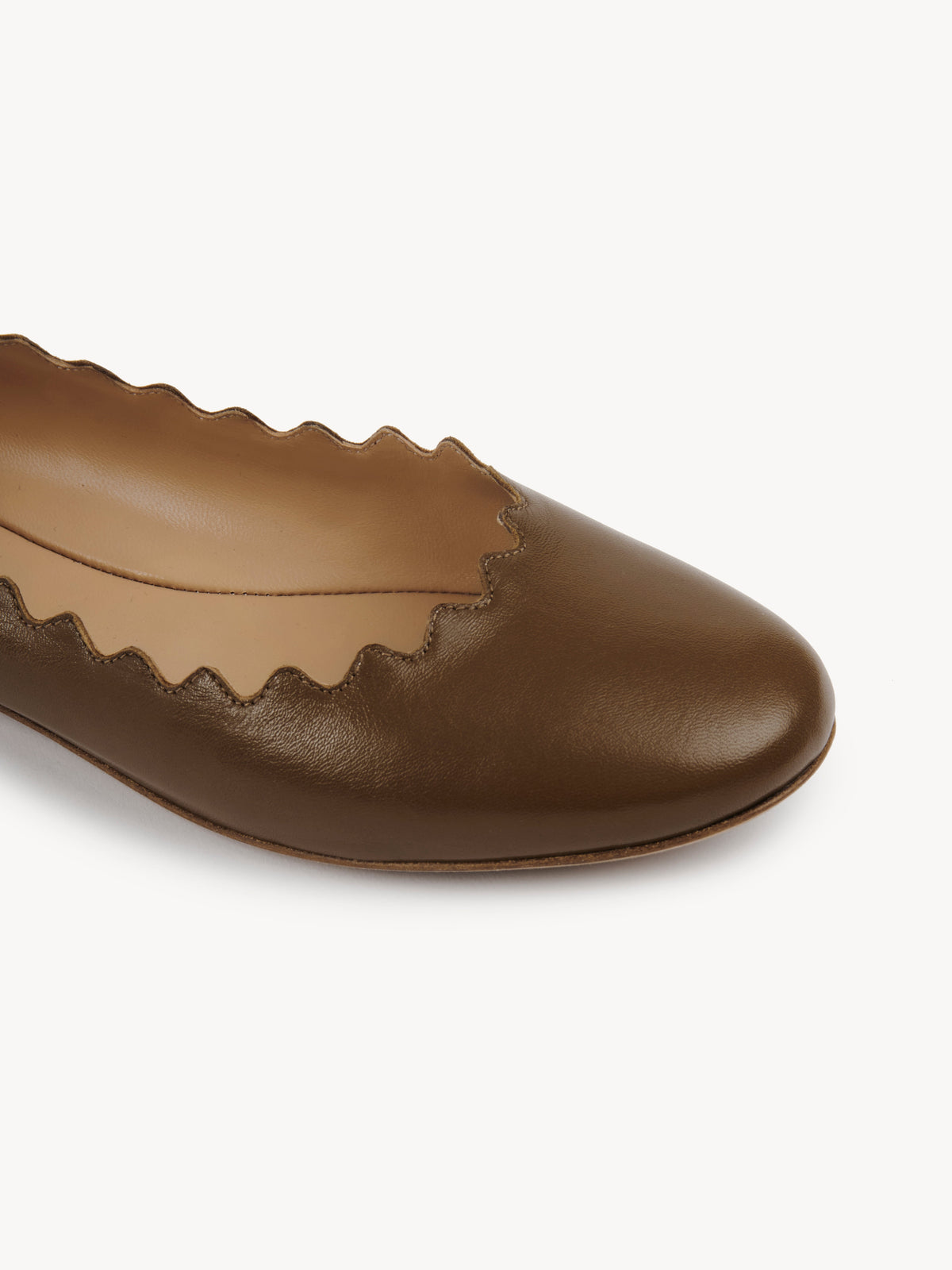 Olive BALLERINAS - Olive