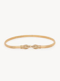 Vintage Gold BELT - Vintage Gold