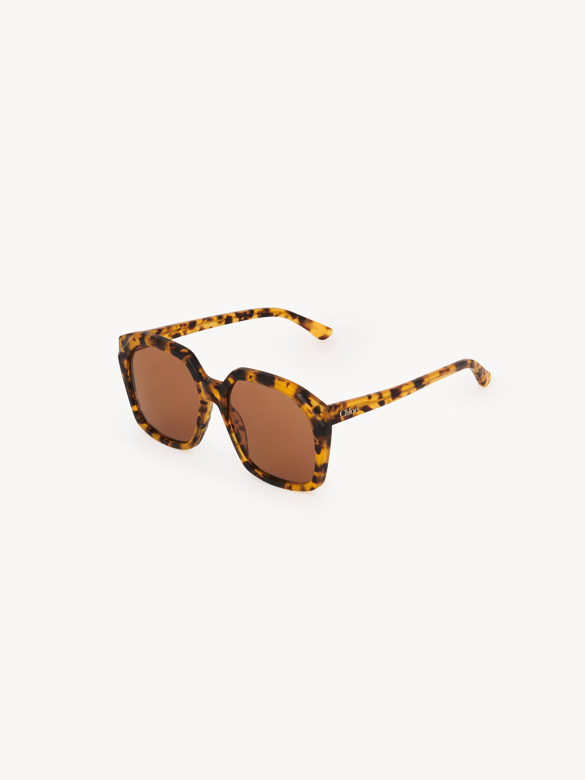 Vintage Tortoise SUNGLASSES - Vintage Tortoise