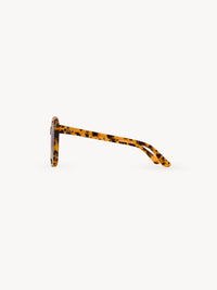 Vintage Tortoise SUNGLASSES - Vintage Tortoise