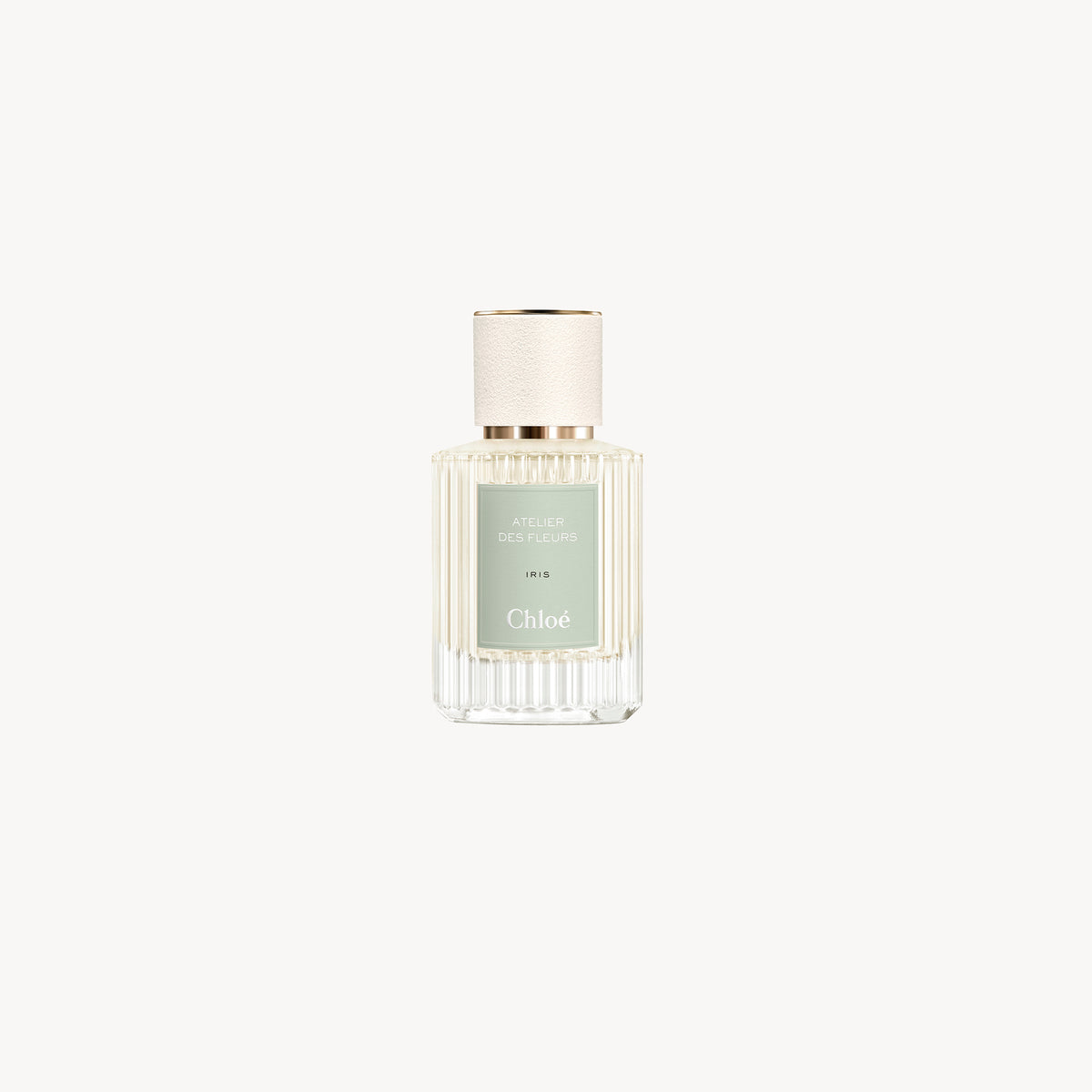 BASEPLUS_EAU DE PARFUM  50ML