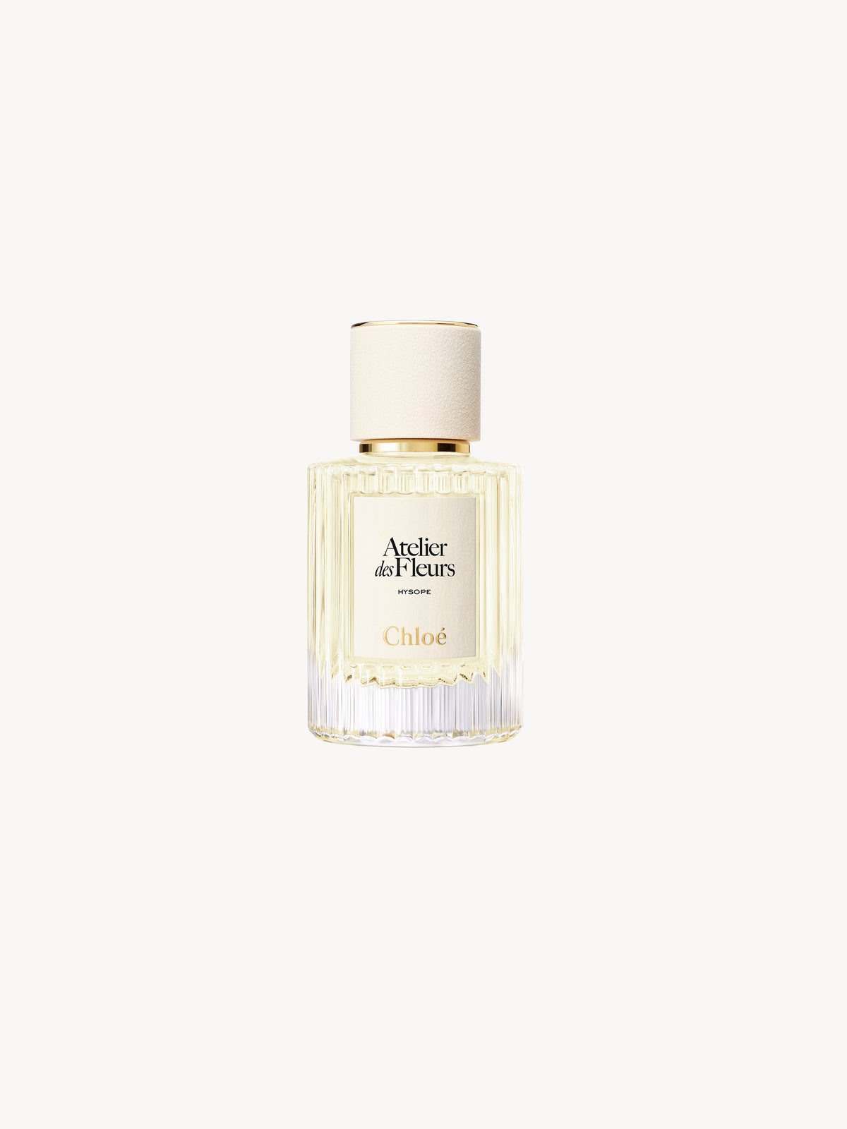 BASEPLUS_EAU DE PARFUM  50ML