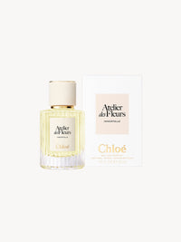 BASEPLUS_EAU DE PARFUM  50ML