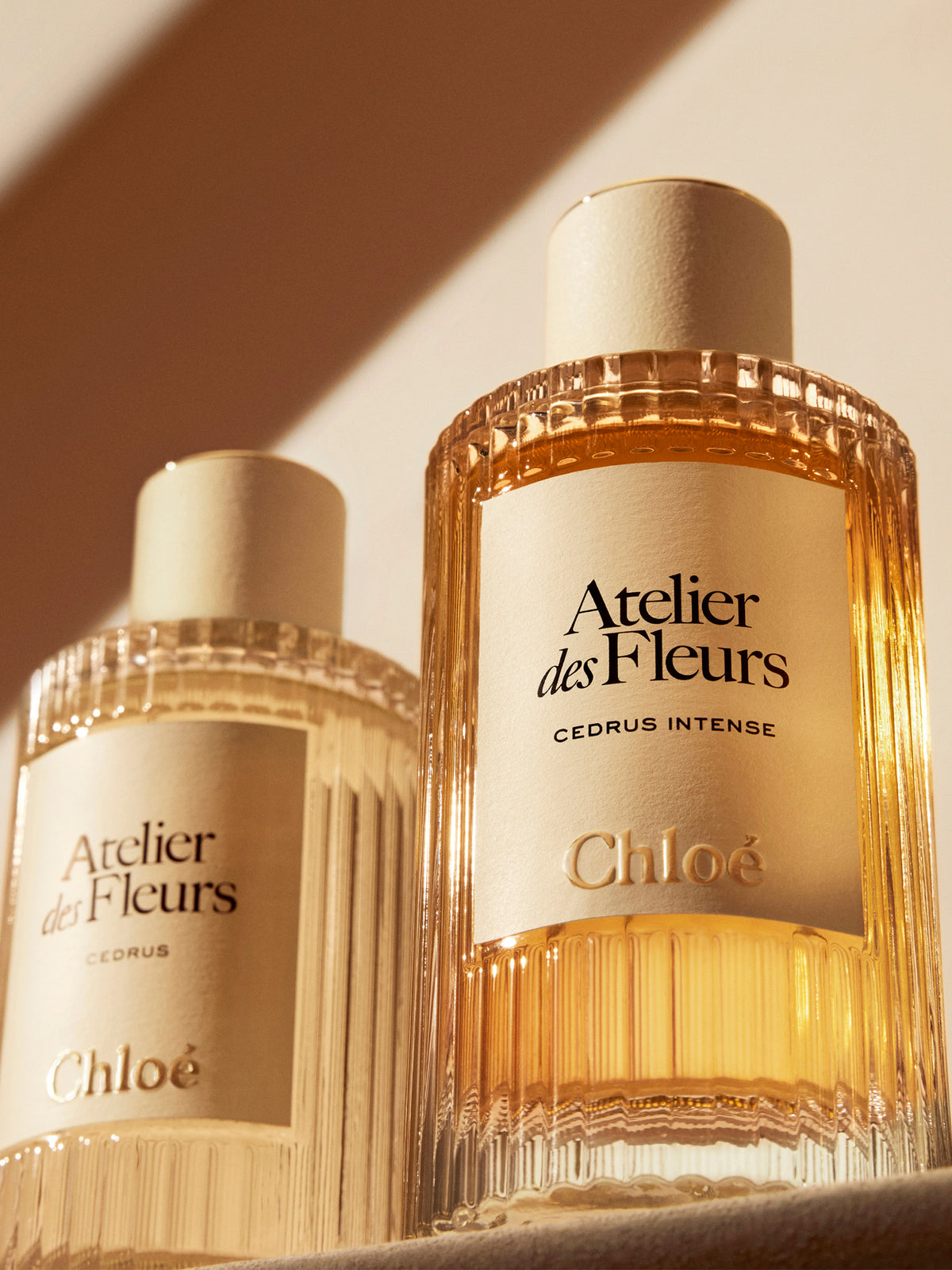 EAU DE PARFUM 50ML -