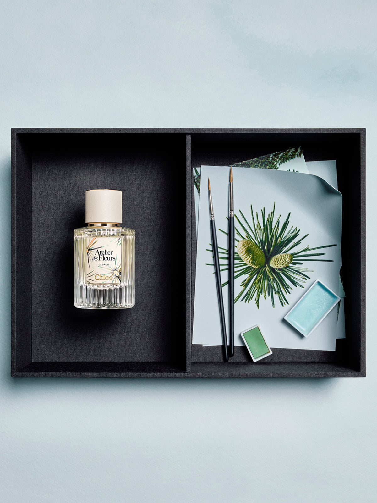 BASEPLUS_Cedrus Limited Edition 50ML