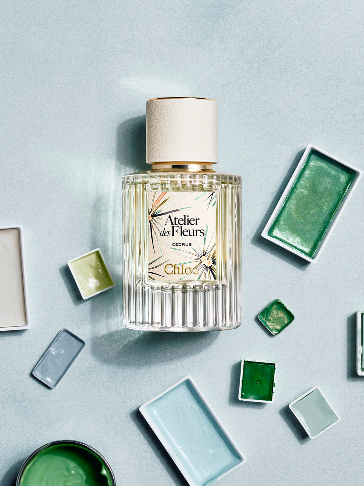 BASEPLUS_Cedrus Limited Edition 50ML