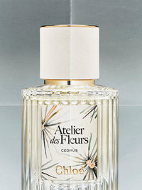 BASEPLUS_Cedrus Limited Edition 50ML