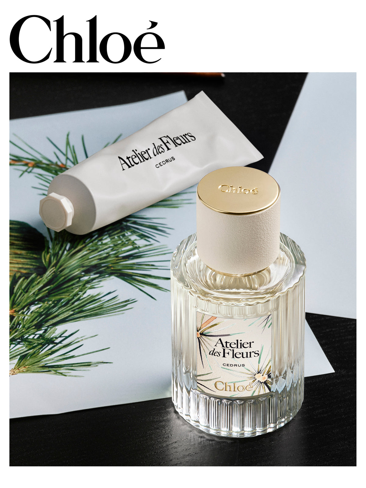 BASEPLUS_Cedrus Limited Edition 50ML