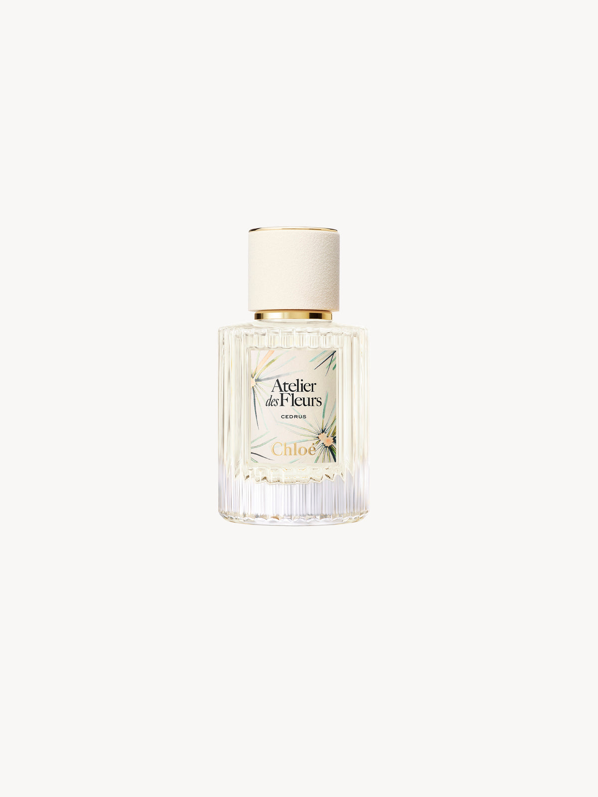 BASEPLUS_Cedrus Limited Edition 50ML