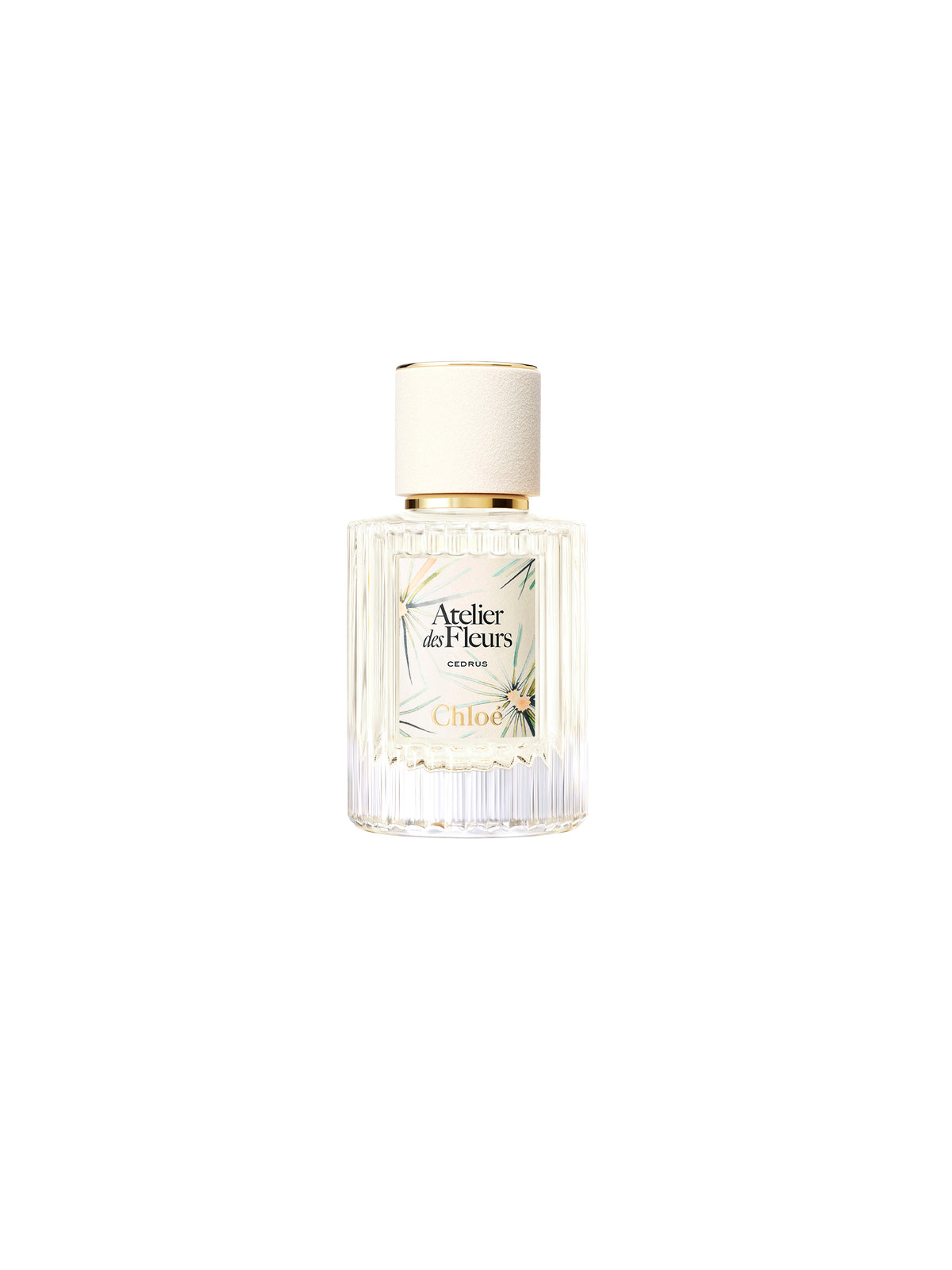 BASEPLUS_Cedrus Limited Edition 50ML