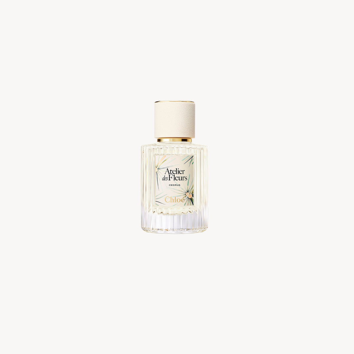 BASEPLUS_Cedrus Limited Edition 50ML