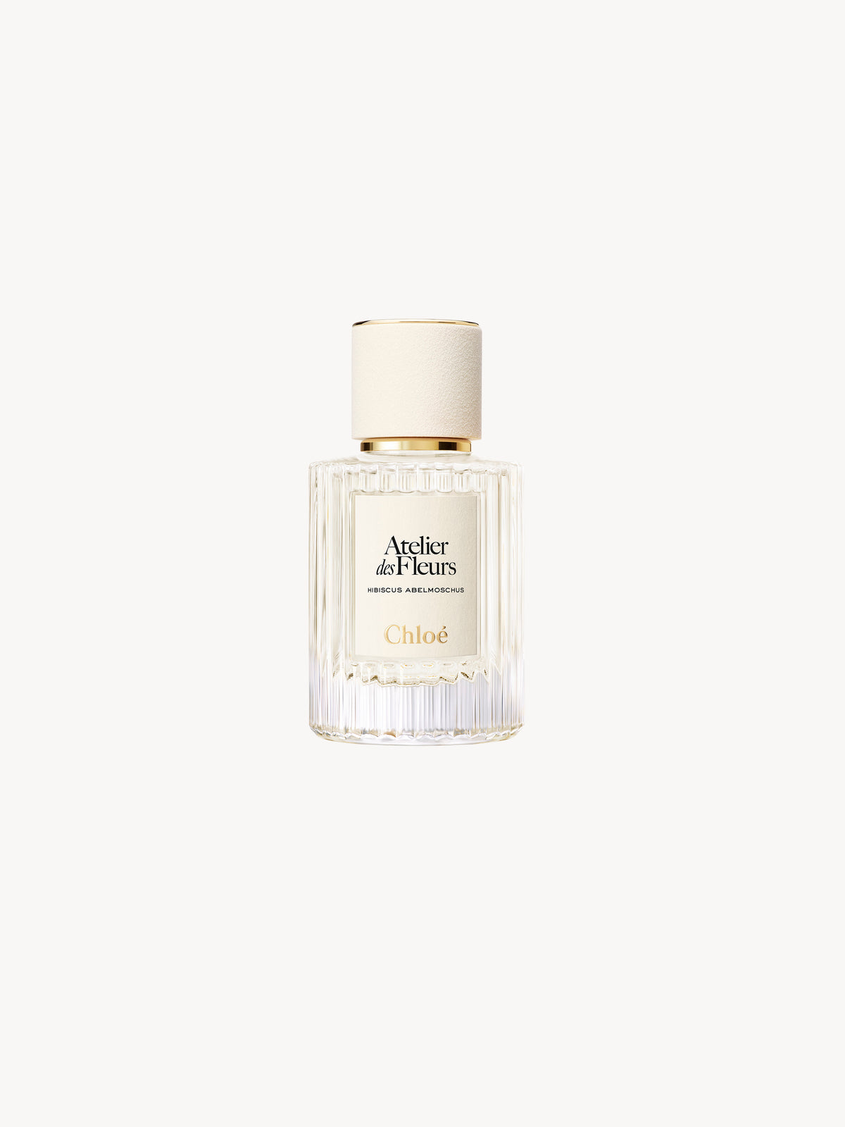 BASEPLUS_EAU DE PARFUM  50ML