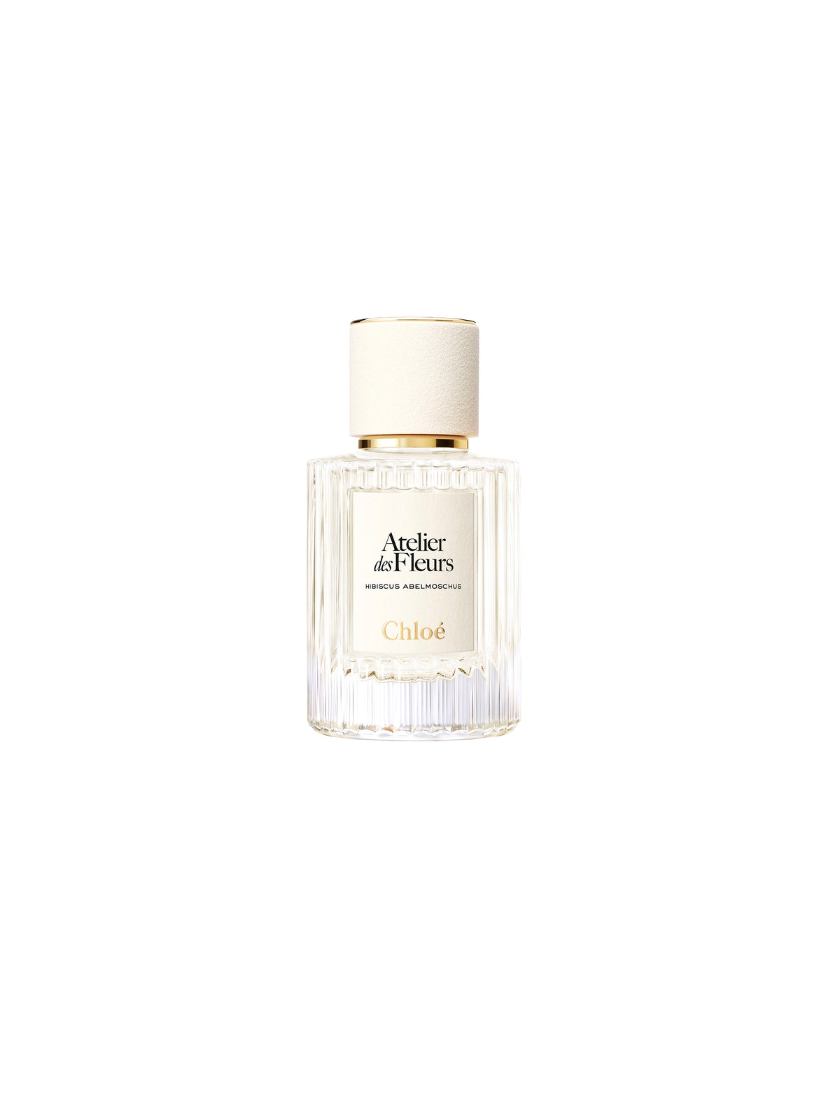 BASEPLUS_EAU DE PARFUM  50ML