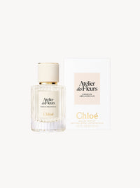 BASEPLUS_EAU DE PARFUM  50ML