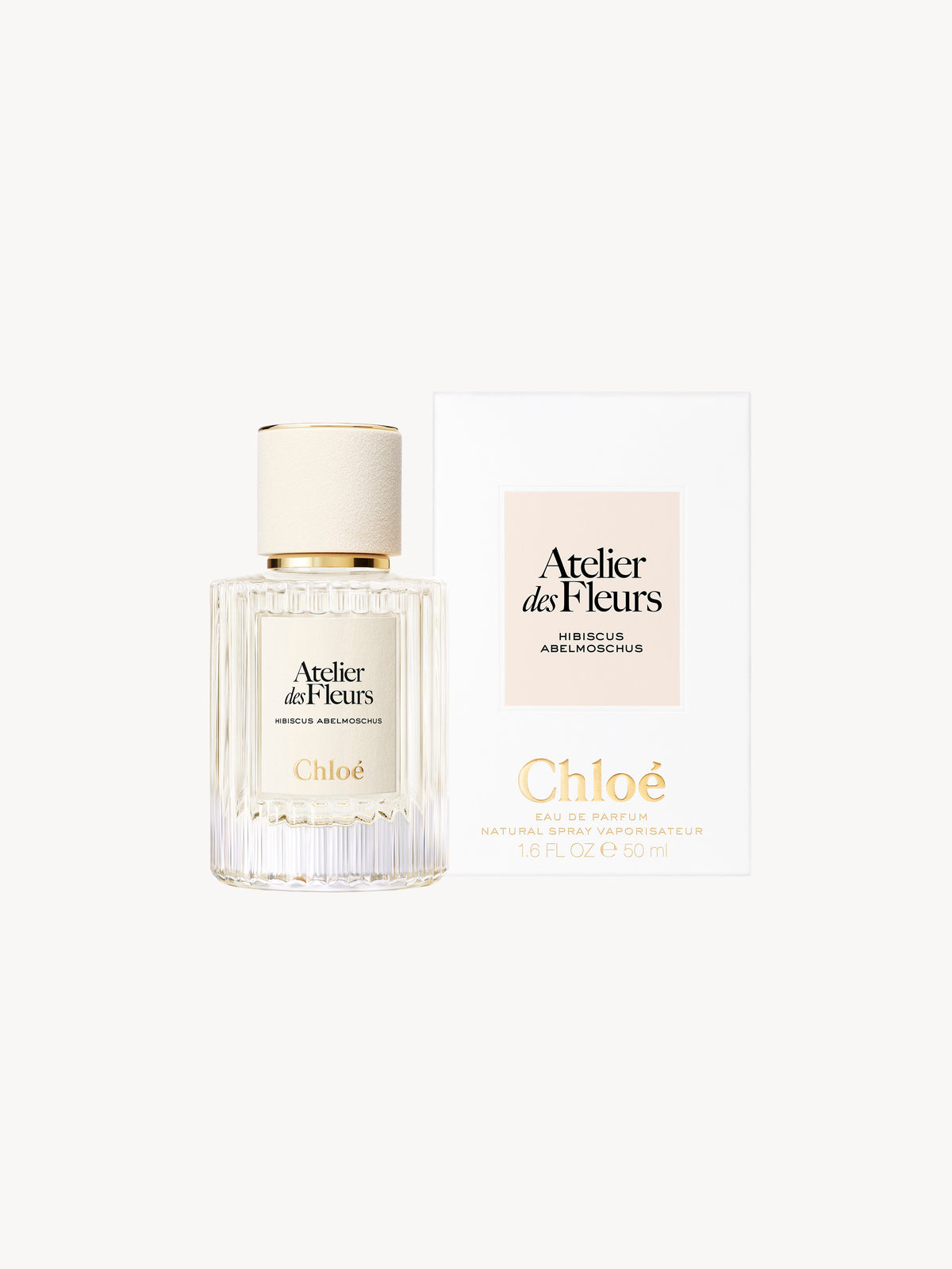 BASEPLUS_EAU DE PARFUM  50ML