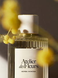 BASEPLUS_EAU DE PARFUM